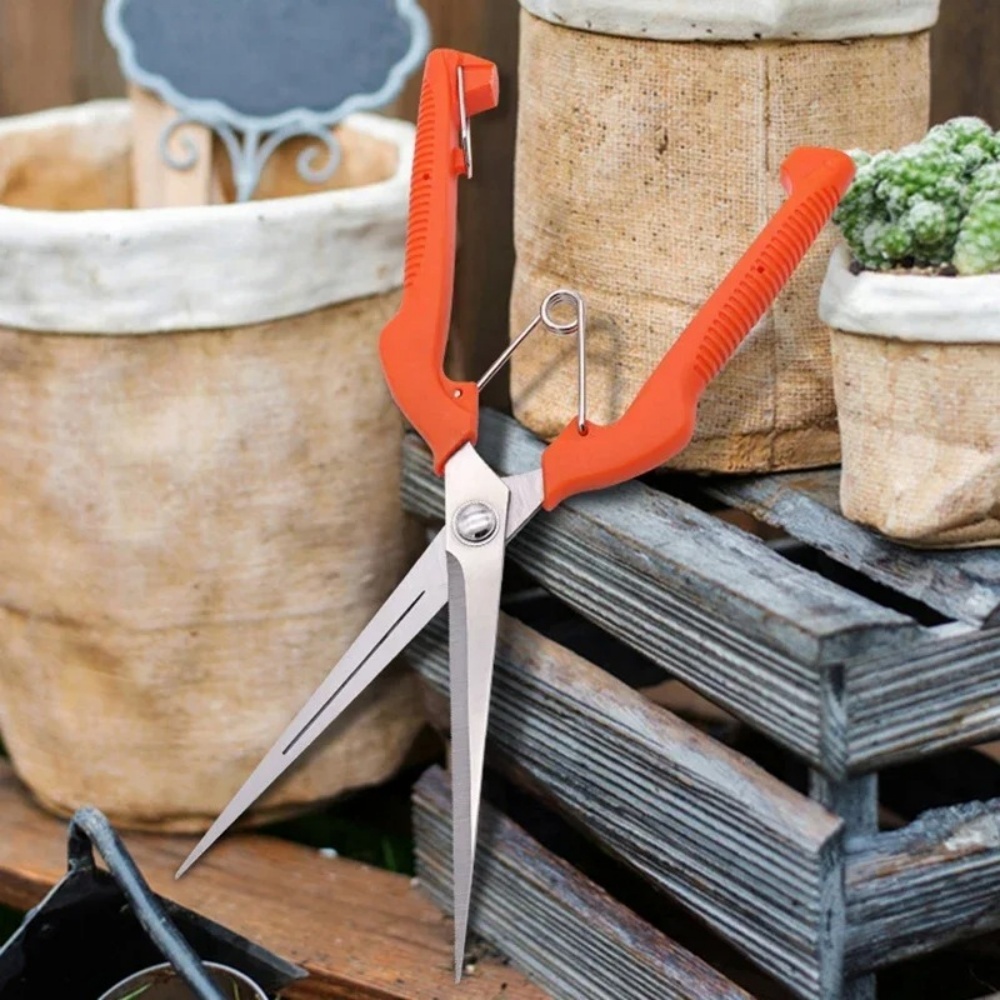 Bonsai Garden Tools - المهنية حديقة تشذيب المقصات الفولاذ المقاوم