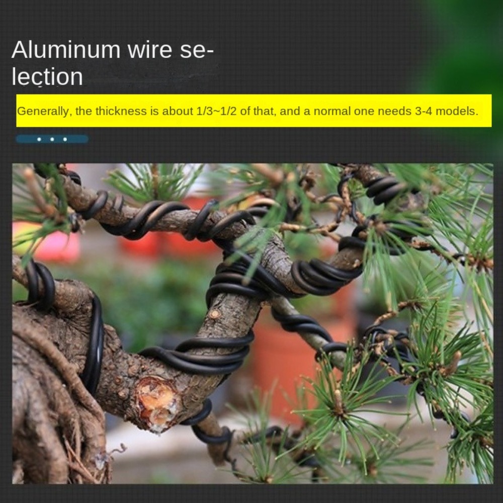 سلك بونساي من الألومنيوم لتشكي - مراجعة Bonsai Garden Tools وسعره
