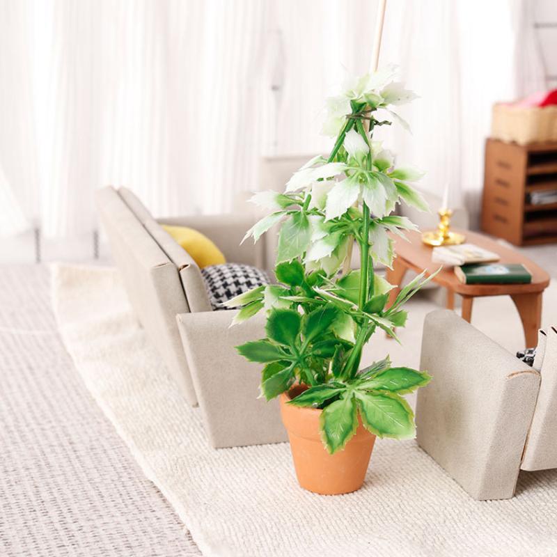 1/12 دمية محاكاة النباتات الخض - مراجعة Bonsai Garden Usa وسعره