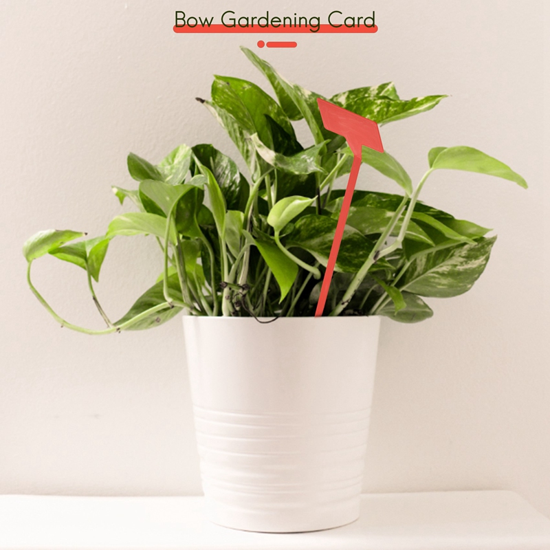 أدوات زراعة الحدائق ABYP 50 قط - مراجعة Bonsai Garden Tools وسعره