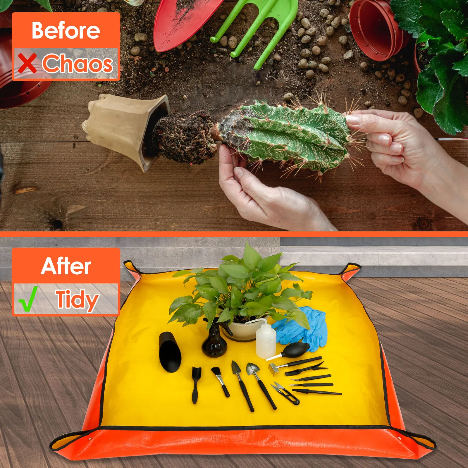 أدوات نباتات عصارية للحدائق ،  - مراجعة Bonsai Garden Tools وسعره