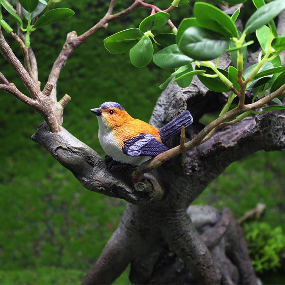 التماثيل الطيور مصغرة متعددة ا - مراجعة Bonsai Garden Usa وسعره