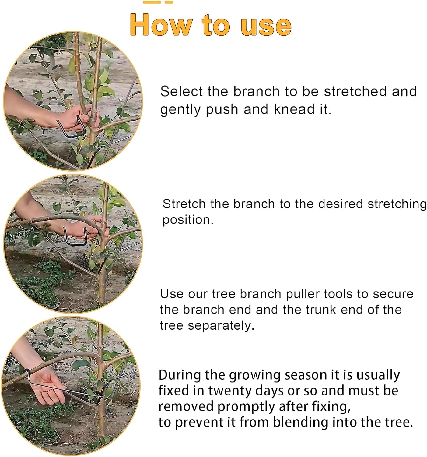 أداة قابلة للتعديل لتشكيل وتدر - مراجعة Bonsai Garden Tree وسعره