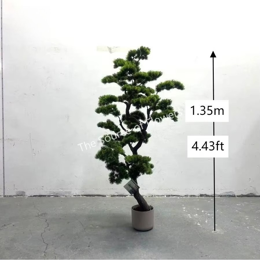أشجار الأرز والصنوبر الاصطناعي - مراجعة Bonsai Garden Tree وسعره