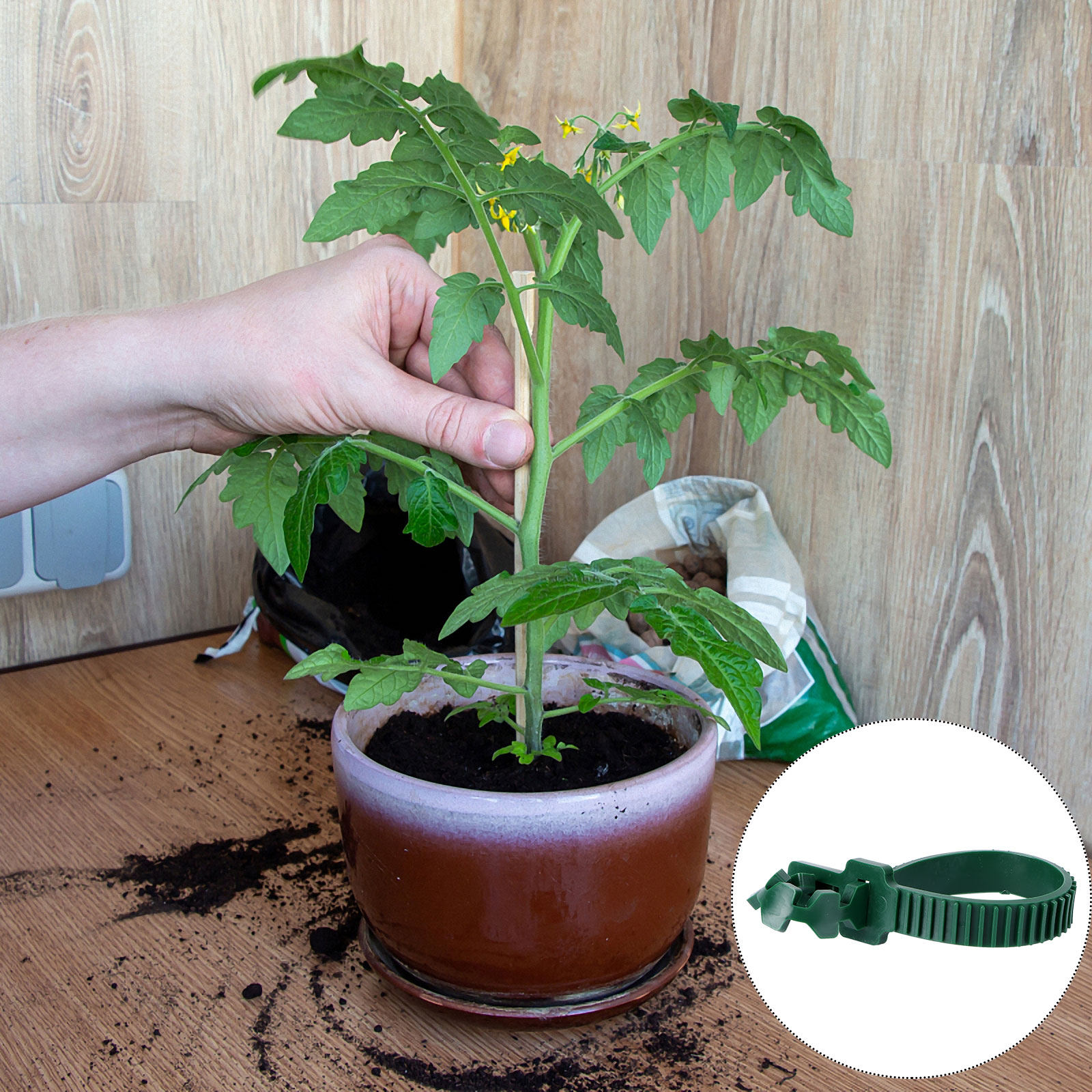 20 قطعة مشبك تثبيت للنباتات، م - مراجعة Bonsai Garden Tree وسعره