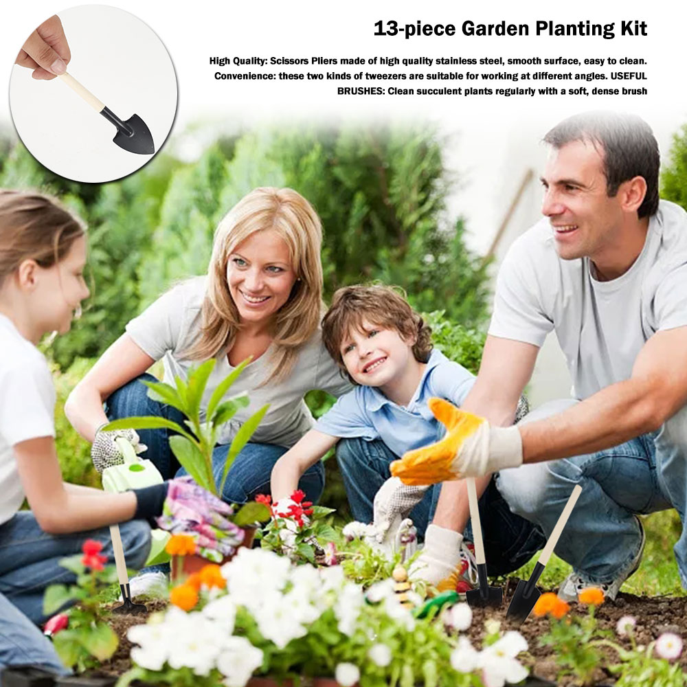 أدوات النباتات النضرة حديقة صغ - مراجعة Bonsai Garden Tools وسعره
