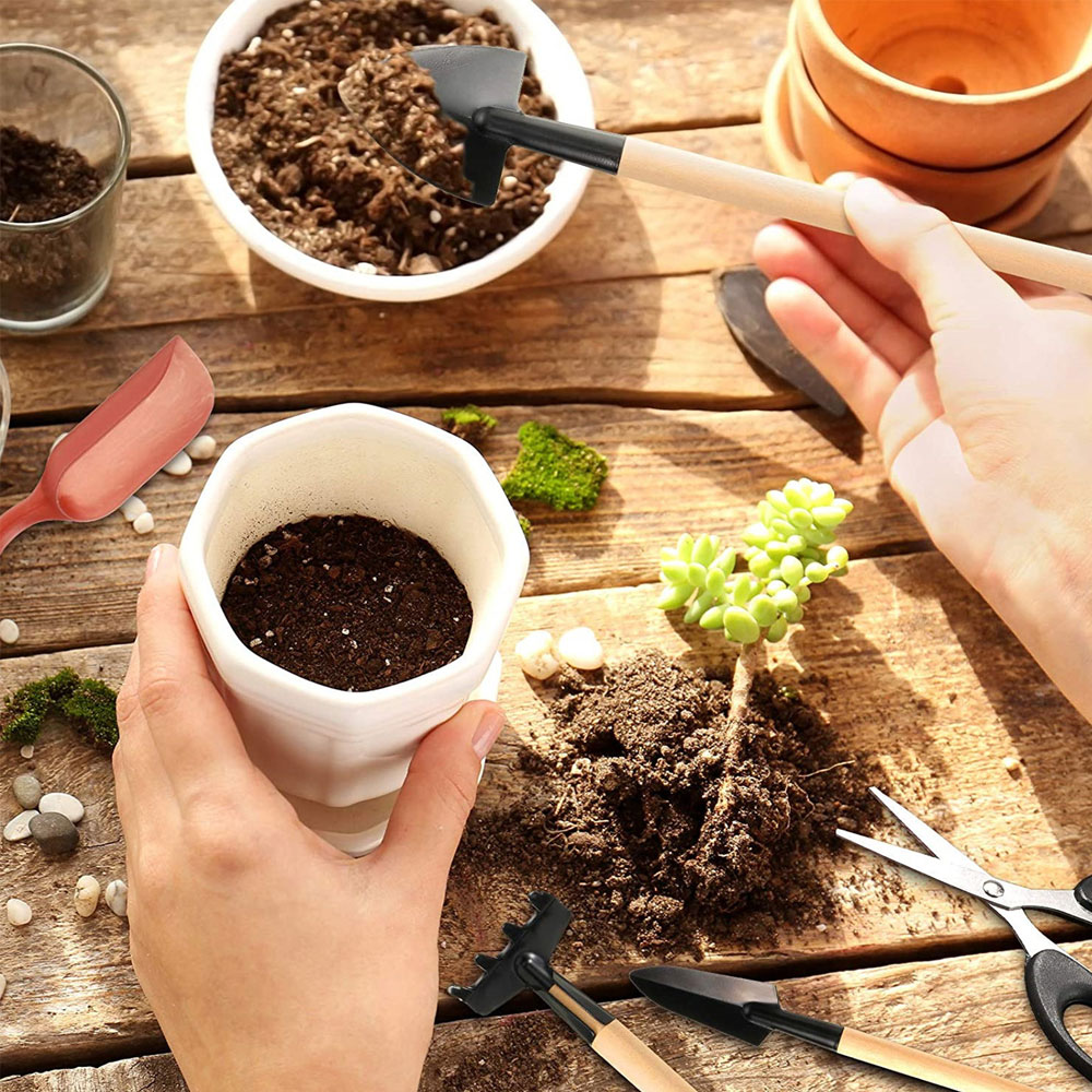 أدوات النباتات النضرة حديقة صغ - مراجعة Bonsai Garden Tools وسعره