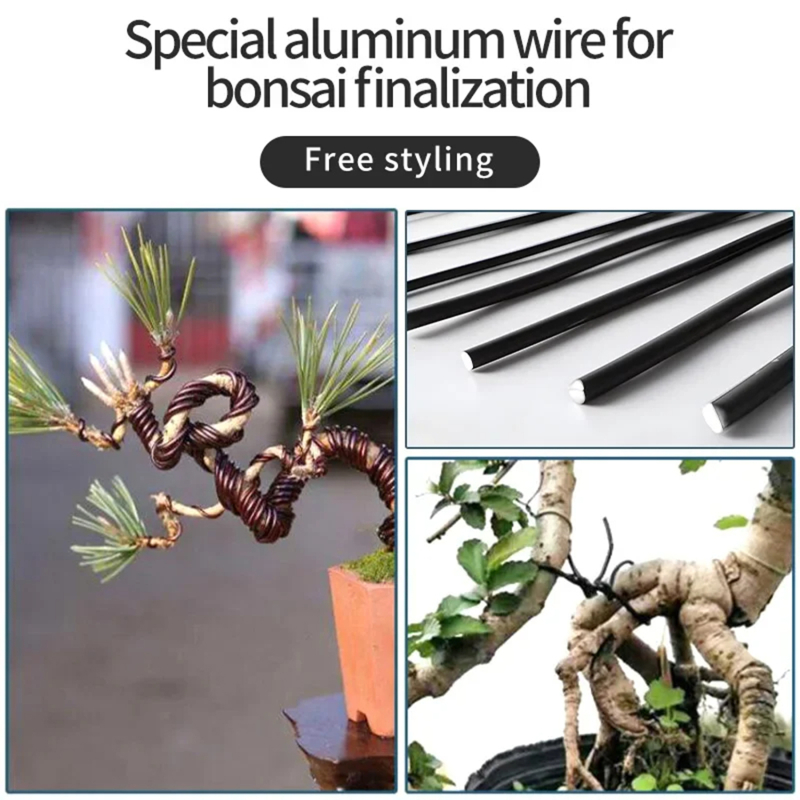 5 متر بونساي سلك دعم النبات بأ - مراجعة Bonsai Garden Usa وسعره